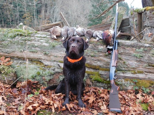 125128591_10157452456726776_8688274914910160071_o