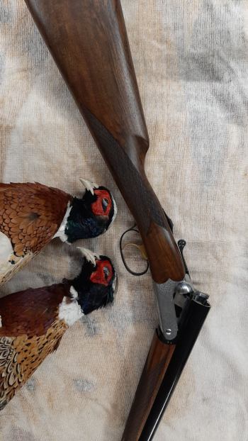 133366981_10157543493246776_7395012625900043851_o